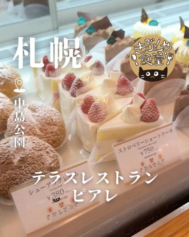 夏にぴったり！ホテルオリジナルスイーツ✨

🐱‹ 札幌パークホテル
テラスレストランピアレ内 ケーキコーナー
@sapporo.parkhotel

✎－－－

▶アクセス
北海道札幌市中央区南10条西3丁目1番1号
地下鉄「中島公園駅」…徒歩1分

▶営業時間
9:00～18:00

▶定休日
なし

ー－－

きぶんや食堂（@kibunya_shokudou）では札幌を中心にグルメの情報を発信しています！
コメント・いいね・保存してくれたらうれしいな…(´・ω・)

#札幌パークホテル
#テラスレストランピアレ

#北海道 #札幌#中島公園#北海道観光 #札幌観光
#北海道グルメ #北海道スイーツ#北海道ケーキ
#札幌グルメ #札幌スイーツ#札幌ケーキ
#中島公園グルメ #中島公園スイーツ#中島公園ケーキ